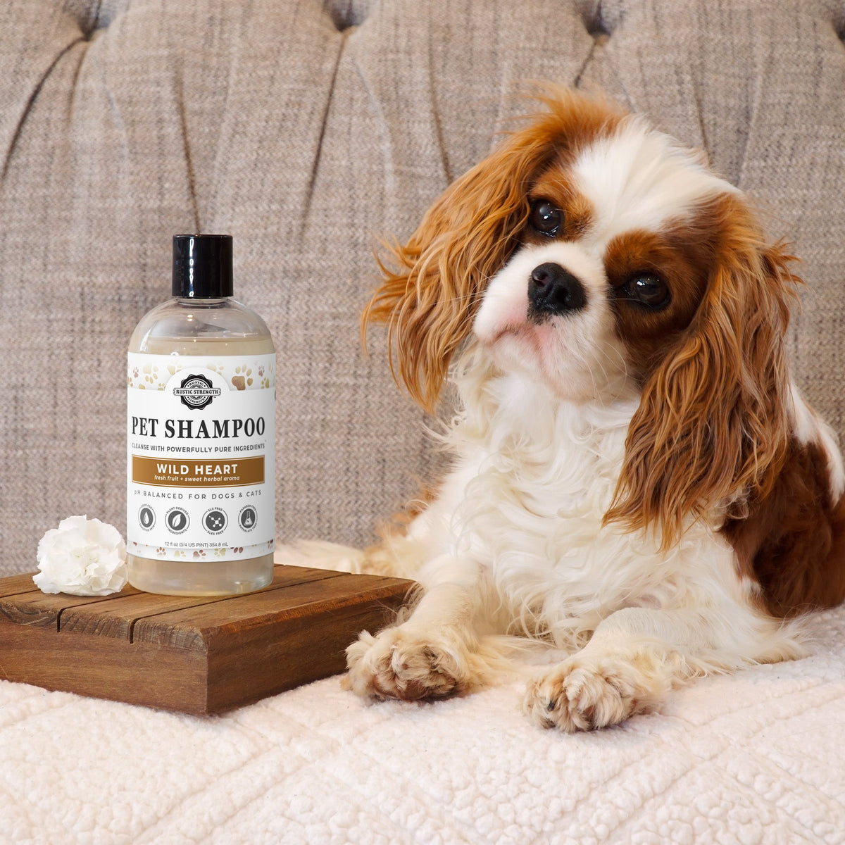 Pet Shampoo | Soothing & Deodorizing | Wild Heart