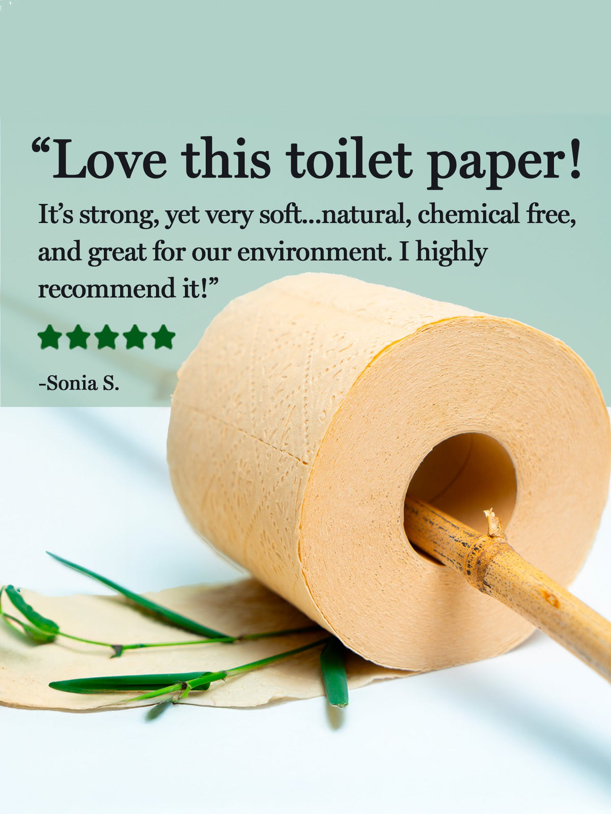 Panda Eco Paper | Bamboo Toilet Paper Sample