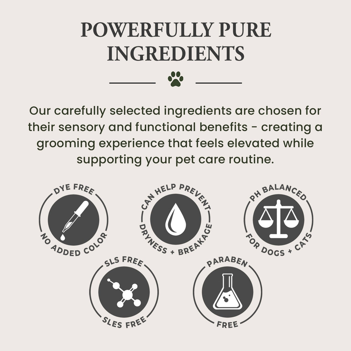 Pet Shampoo | Soothing & Deodorizing | Wild Heart